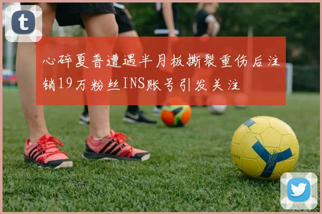 心碎夏普遭遇半月板撕裂重伤后注销19万粉丝INS账号引发关注